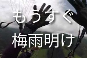 夏休みが近づいてきました