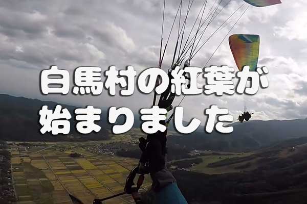 白馬村の紅葉が始まりました